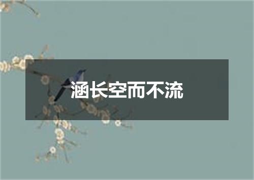 涵长空而不流
