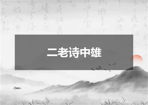 二老诗中雄