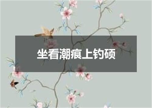 坐看潮痕上钓硕