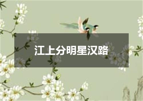 江上分明星汉路