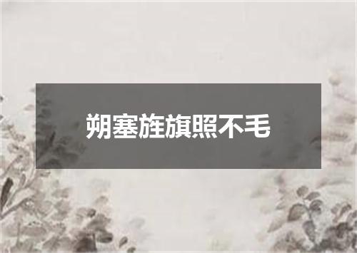 朔塞旌旗照不毛
