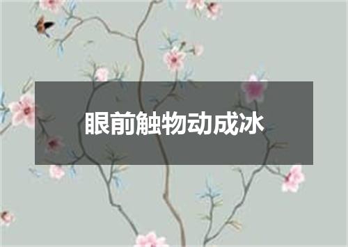 眼前触物动成冰