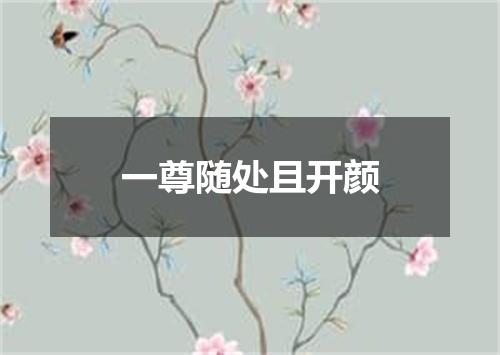 一尊随处且开颜