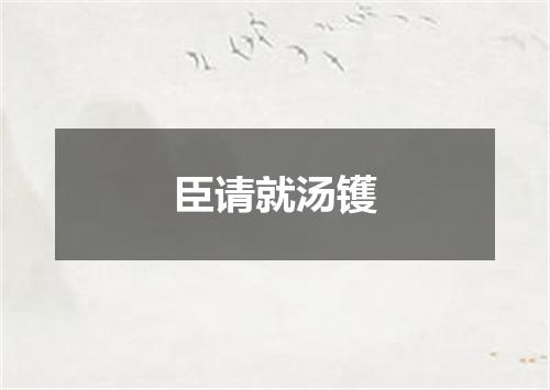 臣请就汤镬