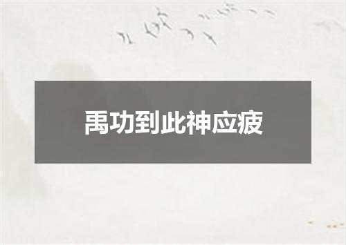 禹功到此神应疲