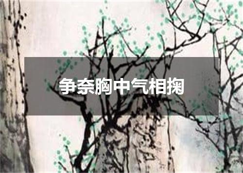 争奈胸中气相掬