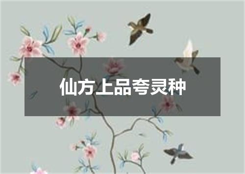 仙方上品夸灵种