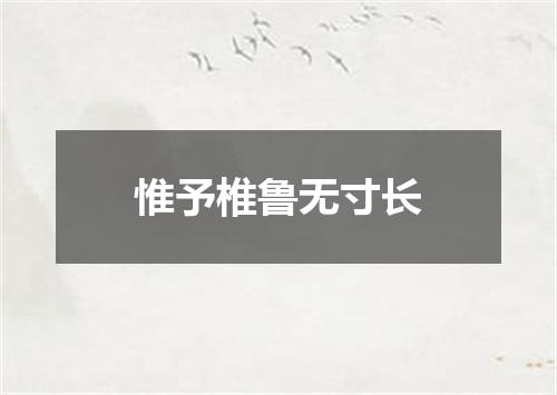 惟予椎鲁无寸长