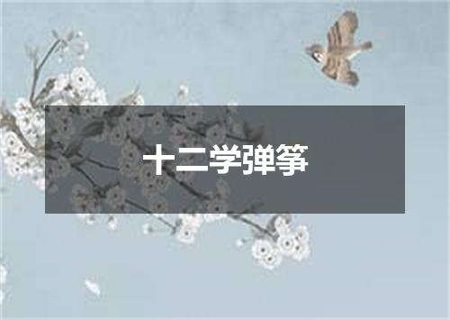 十二学弹筝