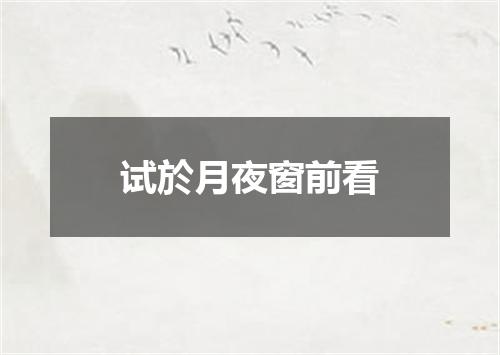 试於月夜窗前看