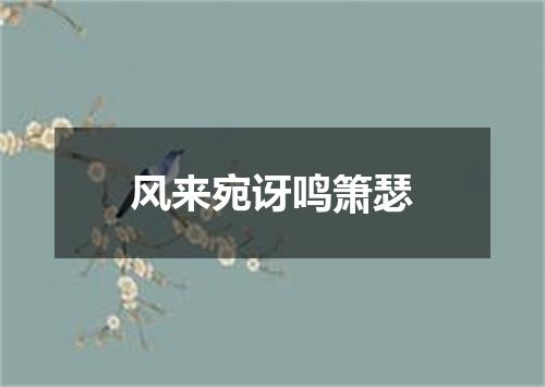 风来宛讶鸣箫瑟