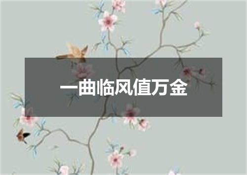 一曲临风值万金