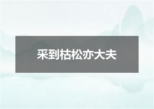 采到枯松亦大夫