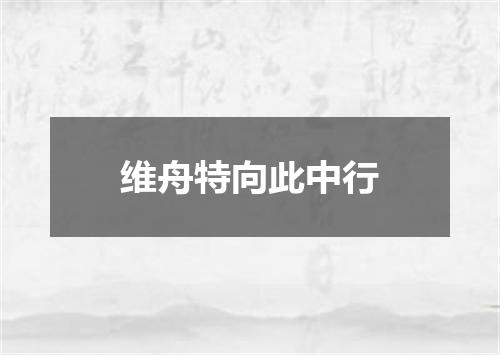 维舟特向此中行