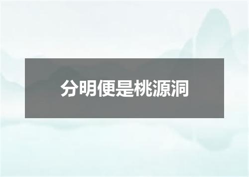 分明便是桃源洞