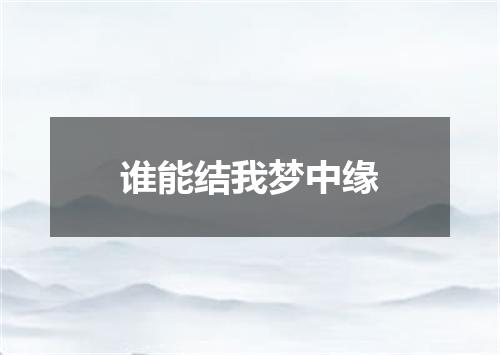 谁能结我梦中缘