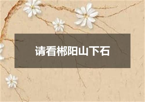 请看郴阳山下石