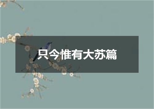只今惟有大苏篇