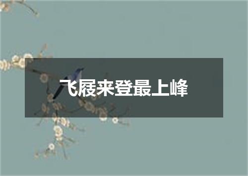 飞屐来登最上峰