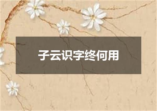 子云识字终何用