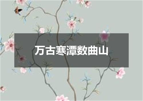 万古寒潭数曲山