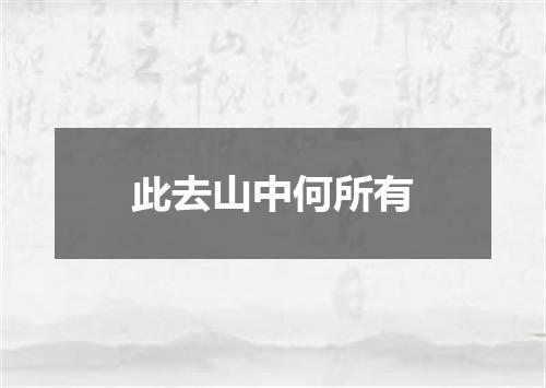 此去山中何所有