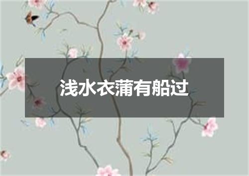 浅水衣蒲有船过