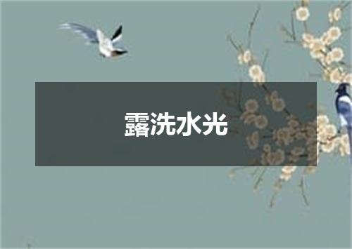 露洗水光
