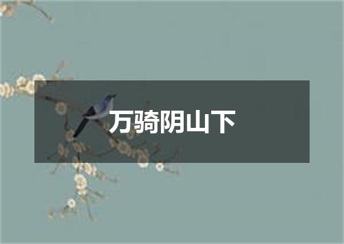 万骑阴山下