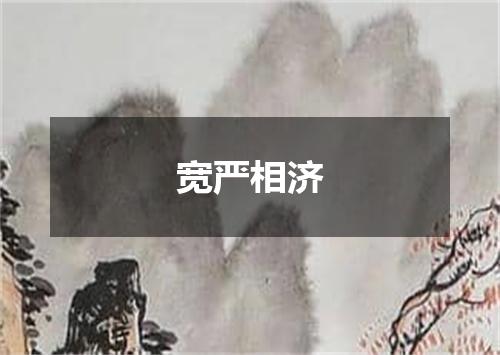 宽严相济