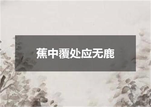 蕉中覆处应无鹿