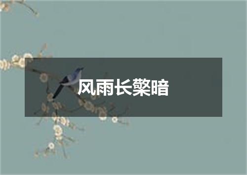 风雨长檠暗