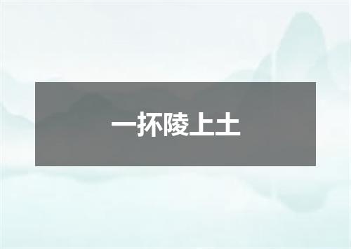 一抔陵上土