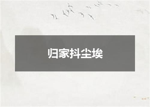 归家抖尘埃