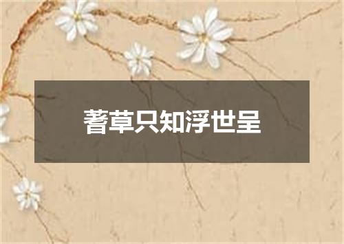 蓍草只知浮世呈