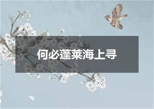 何必蓬莱海上寻