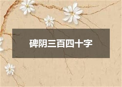 碑阴三百四十字