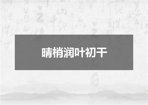 晴梢润叶初干