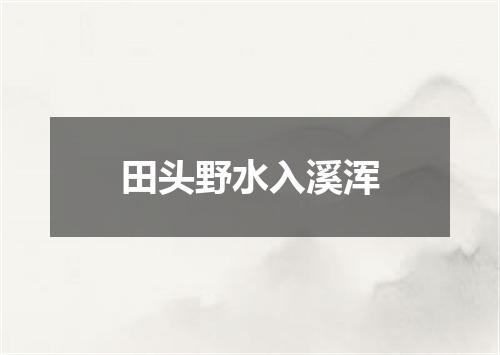 田头野水入溪浑