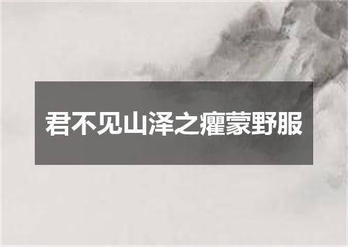 君不见山泽之癯蒙野服