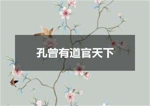 孔曾有道官天下
