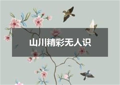 山川精彩无人识
