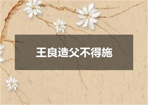 王良造父不得施