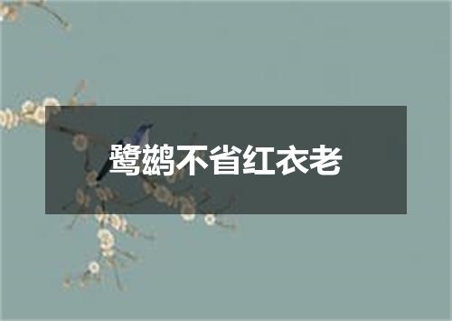 鹭鹚不省红衣老