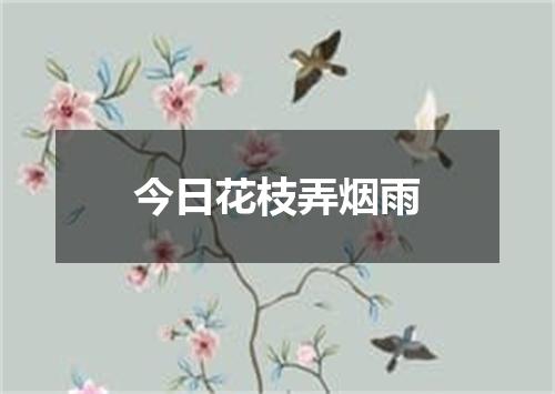 今日花枝弄烟雨