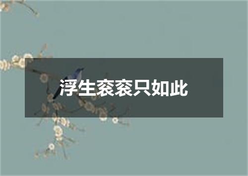 浮生衮衮只如此
