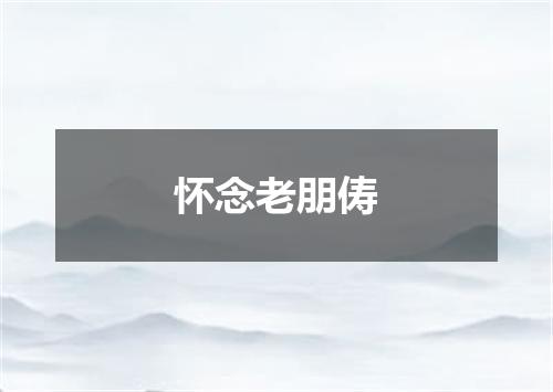 怀念老朋俦