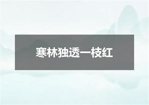 寒林独透一枝红