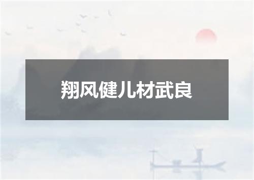 翔风健儿材武良
