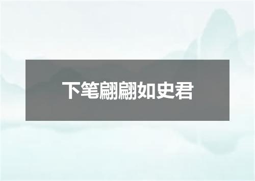 下笔翩翩如史君
